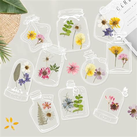 Amazon 20 Pcs Clear Bookmarks For Pressed Flowers Dried Flower