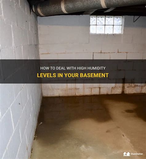 How To Deal With High Humidity Levels In Your Basement Shunshelter