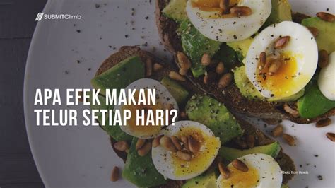 Efek Makan Telur Setiap Hari Apakah Baik Atau Buruk