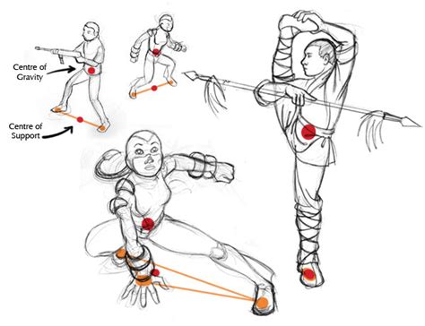 Human Anatomy Fundamentals: Balance and Movement