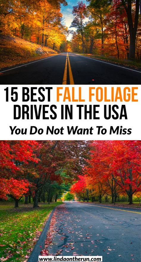 15 Best Fall Foliage Road Trips And Drives In The Usa Amerika