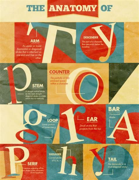 Risa Rodil Anatomy Of Typography Teaching Graphic Design Learning