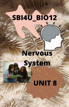 SBI3U BIO12 Unit 8 Nervous System L4 5 By Resources By Bono TPT