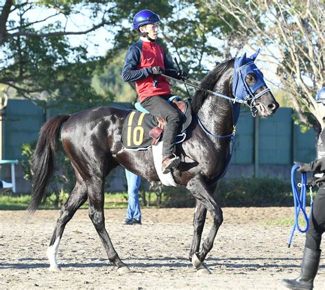 【東スポ杯2歳s】フォルラニーニ無傷でタイトル奪取へ 手塚師「調子はすごくいい」 競馬ニュース Netkeiba