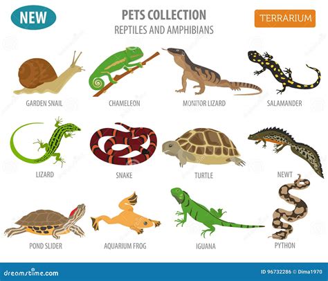 Reptiles And Amphibians List