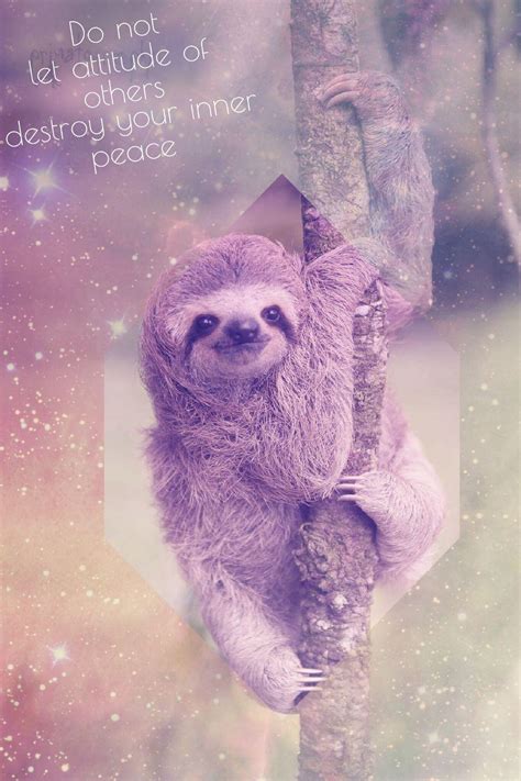 Baby Sloth Wallpapers Wallpaper Cave