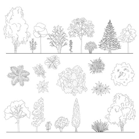 Cad Vector Trees And Plants In Top And Side View Set