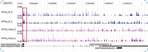 RNA Seq Revealed The Functions Of MiR 630 Targets In HeLa Cells A