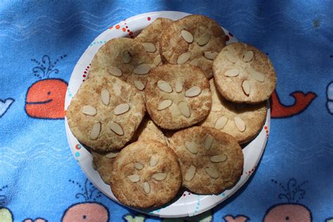 Snickerdoodle Sand Dollar Cookies