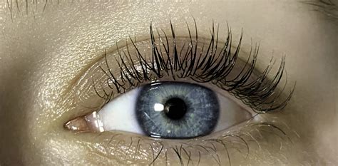 Eyelash Extensions Vs Mascara Pros And Cons