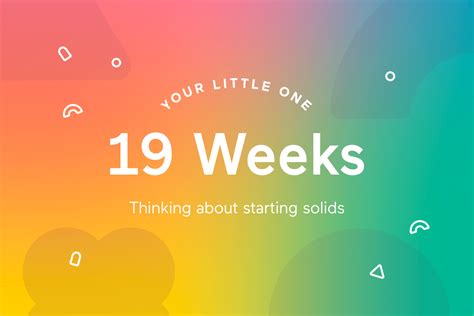 Your 19 Week Old Baby