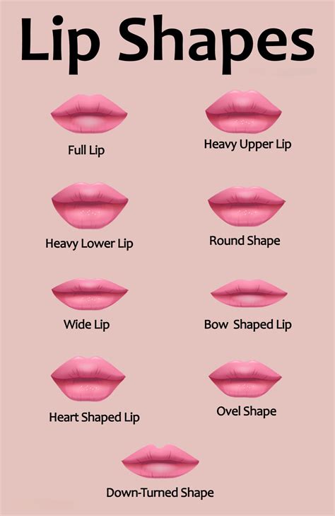 Different Types Of Lip Shapes With Their Names Infographic