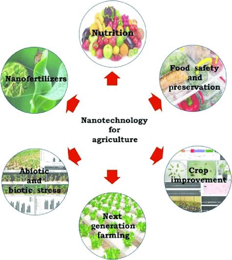 1 A Simplified Overview Of Nanotechnology In Various Aspects Of