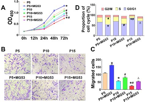 Effects Of MG53 On The Proliferation And Migration Of HUC MSCs In P5