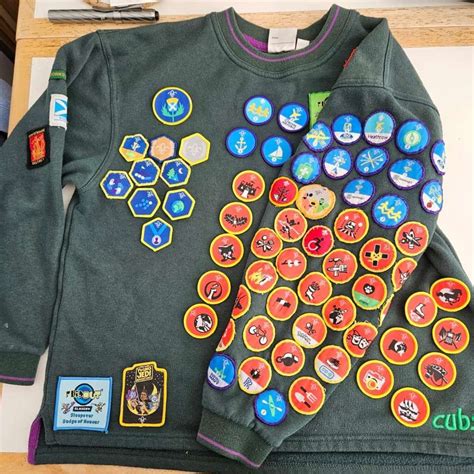 Boy 10 Celebrates Achieving All 57 Cubs Badges