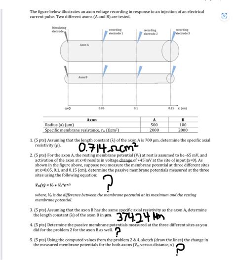 Solved The Figure Below Illustrates An Axon Voltage Rec