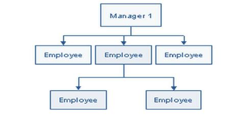 What is Span of Control? | Features and Types of Span of Control