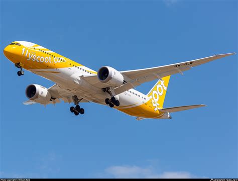 V Ojf Scoot Boeing Dreamliner Photo By William Reid Id