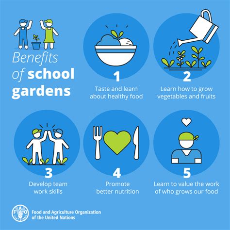 5 Benefits Of School Gardens Farm To Cafeteria Canada