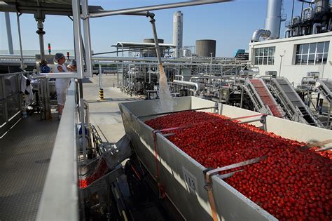 Hungary Univer Doubles Its Processing Capacity Tomato News