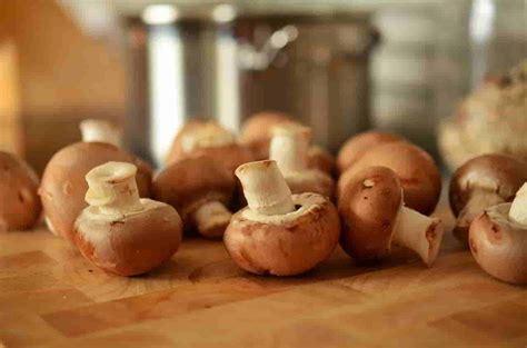 Champignons farcis à la duxelles de champignons Recettes et Terroirs