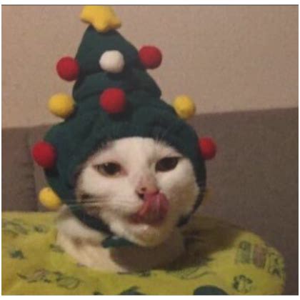 Christmas Tree Cat Profile Picture Roblox Item Rolimon S