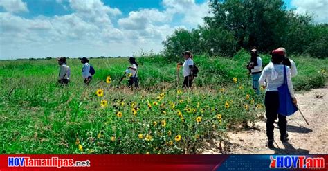 Hoy Tamaulipas Colectivos De Busqueda En Tamaulipas Colectivos Y