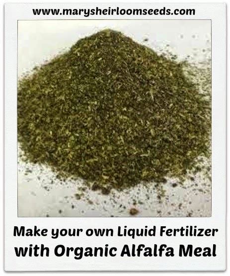 Back To The Basics Make Your Own Liquid Fertilizer With Alfalfa Meal