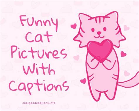 Funny Cat Captions 87 Cute Cat Quotes Pictures