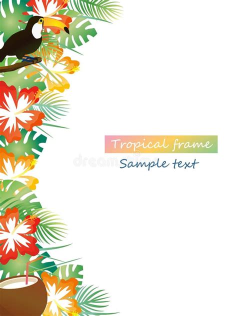 Tropical Frame2 Stock Vector Illustration Of Flowers 149510553