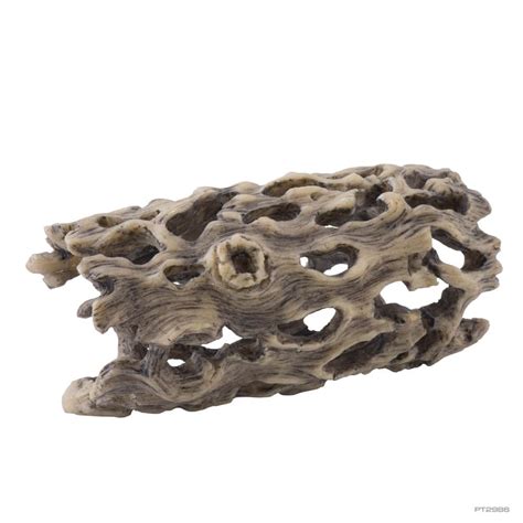 Exo Terra Cholla Cactus Skeleton Underground Reptiles