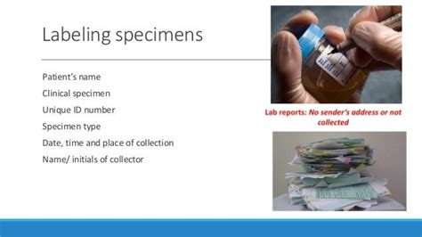 Specimen Collection Dr Manar Nursing