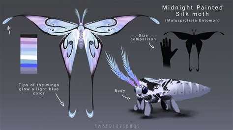 Midnight Painted Silk Moth Ref By Amberluvsbugs On Deviantart