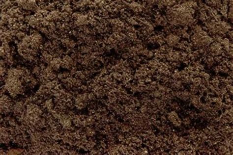 Bio Tech Grade Powder Dark Brown Organic Fertilizer For Agriculture