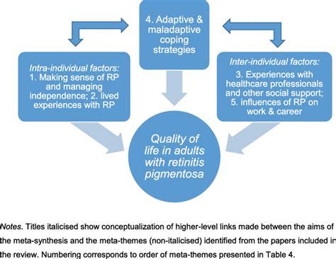 Conceptual Model Of How Meta Themes May Relate To Influence Coping