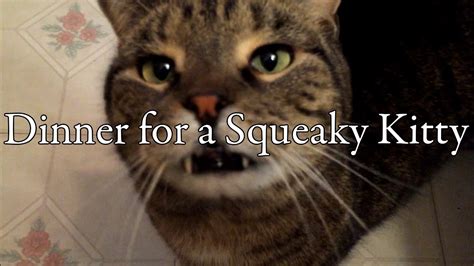 Dinner For A Squeaky Kitty Youtube