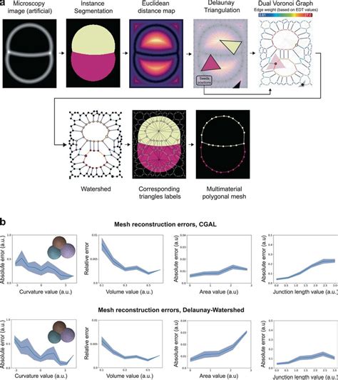 Detailed Procedure And Benchmarking Of The Delaunay Watershed Mesh