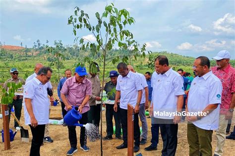 Pahang Tanam 4 9 Juta Pokok Sempena Kempen Program Penghijauan Malaysia