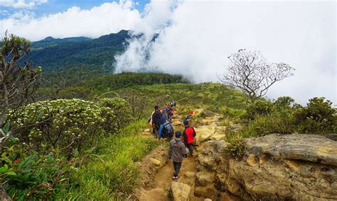 Jalur Pendakian Gunung Ciremai Via Apuy Mulai Diperbaiki