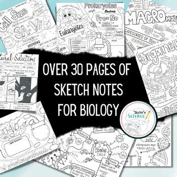 Biology Sketch Notes Bundle By Sketchy Science Tpt