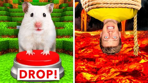 Hamster Maze Vs Human Traps Worlds Most Extreme Elimination Game