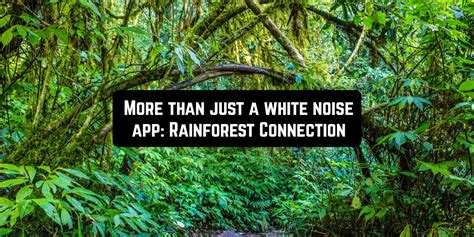 More Than Just A White Noise App Rainforest Connection Freeappsforme