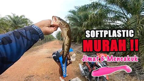 Casting Haruan Mancing Ikan Haruan Parit Sawit Klia Guna