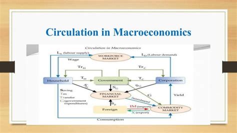 Difference Between Microeconomics And Macroeconomics Ppt