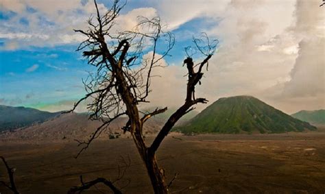 Spot Menarik Bromo Yang Wajib Dikunjungi Pagguci