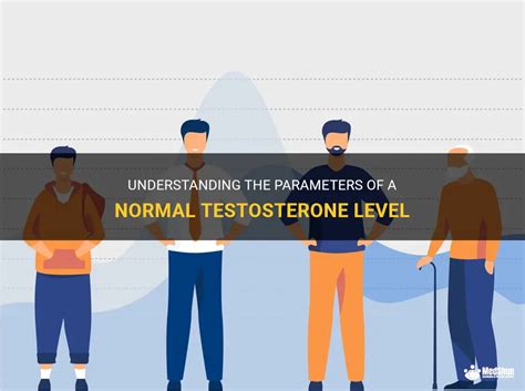 Understanding The Parameters Of A Normal Testosterone Level Medshun