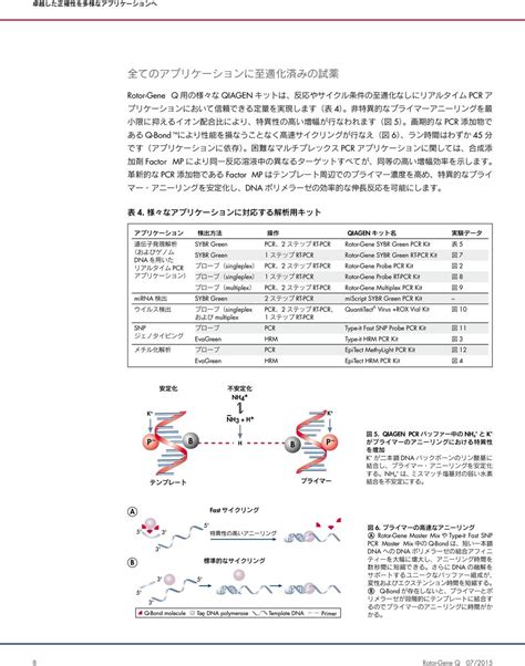 Pcr Rotor Gene Q Pcr Dn Qigen Pcr Rotor Gene Q Qigen Rotor Gene Q Rotor