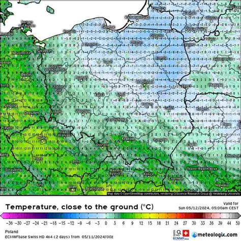 Noc przyniesie duży mróz Temperatura spadnie do 6 stopni Rośliny w