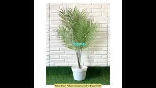 Jual Pohon Hias Daun Palem Lancip Latex Pot Dasar Putih Plastik