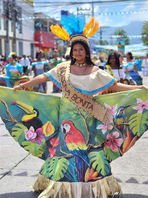 Pin de Nerys Garcia en carnavales en 2024 Traje de pájaro Trajes de